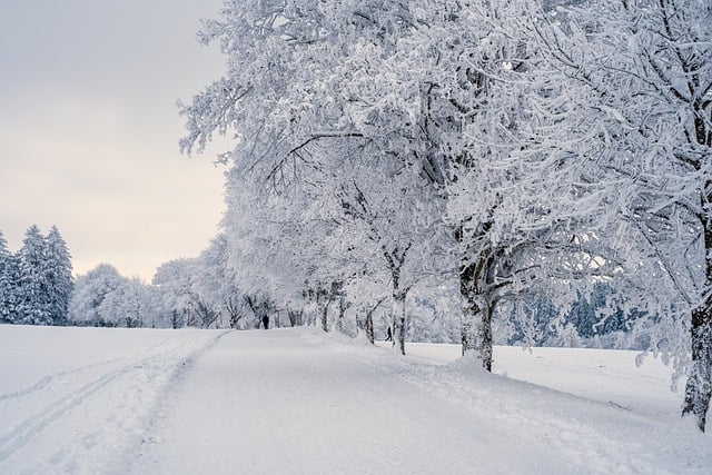 Ten Tips for Coping with the Winter Doldrums